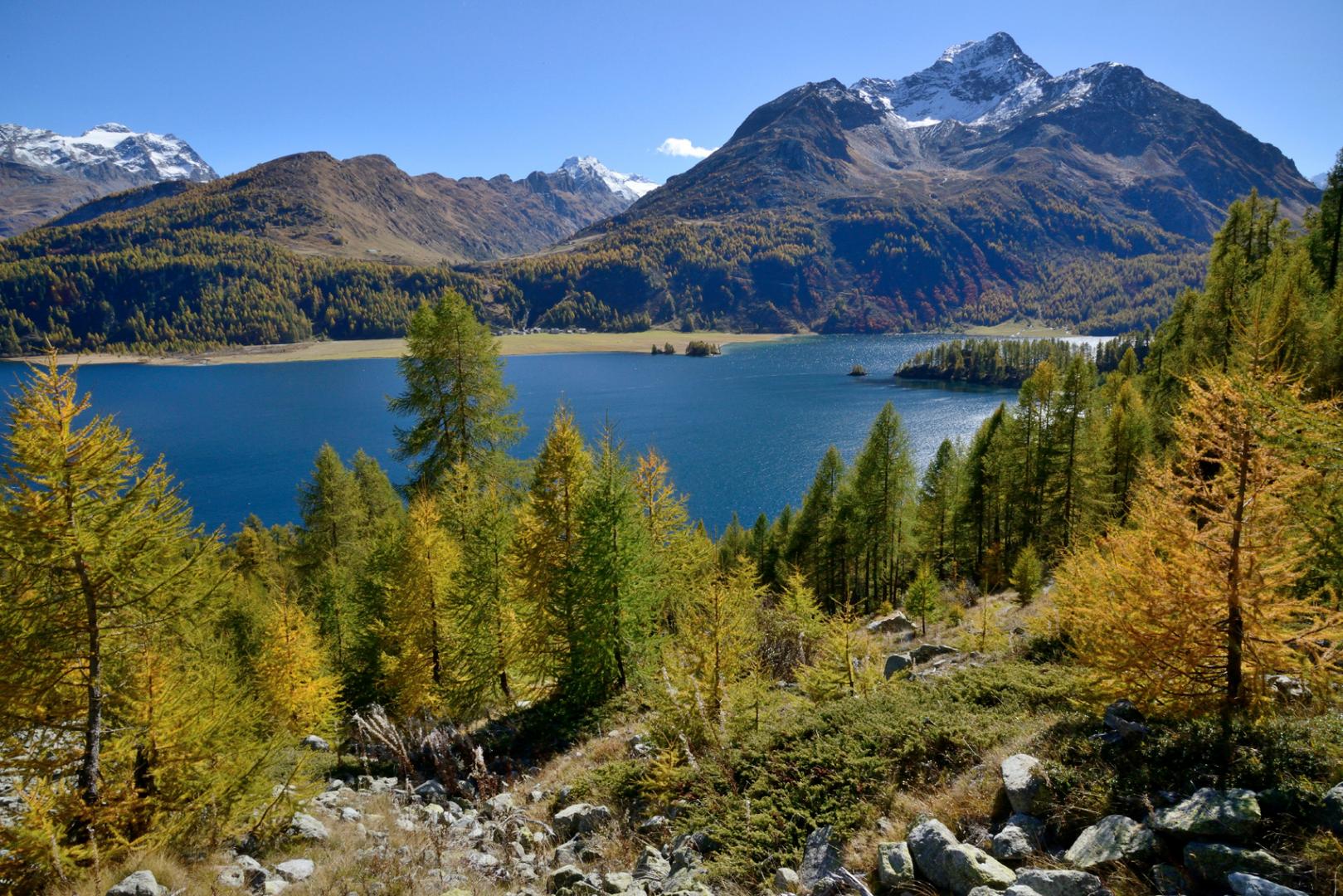 immoguide-engadin.ch - Header